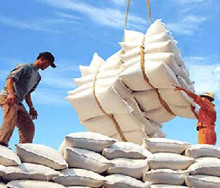 Hiện nay, thuế suất Pg88 com chính chủ gạo chỉ áp dụng đối với gạo có giá Pg88 com chính chủ từ 800 USD/tấn trở lên.